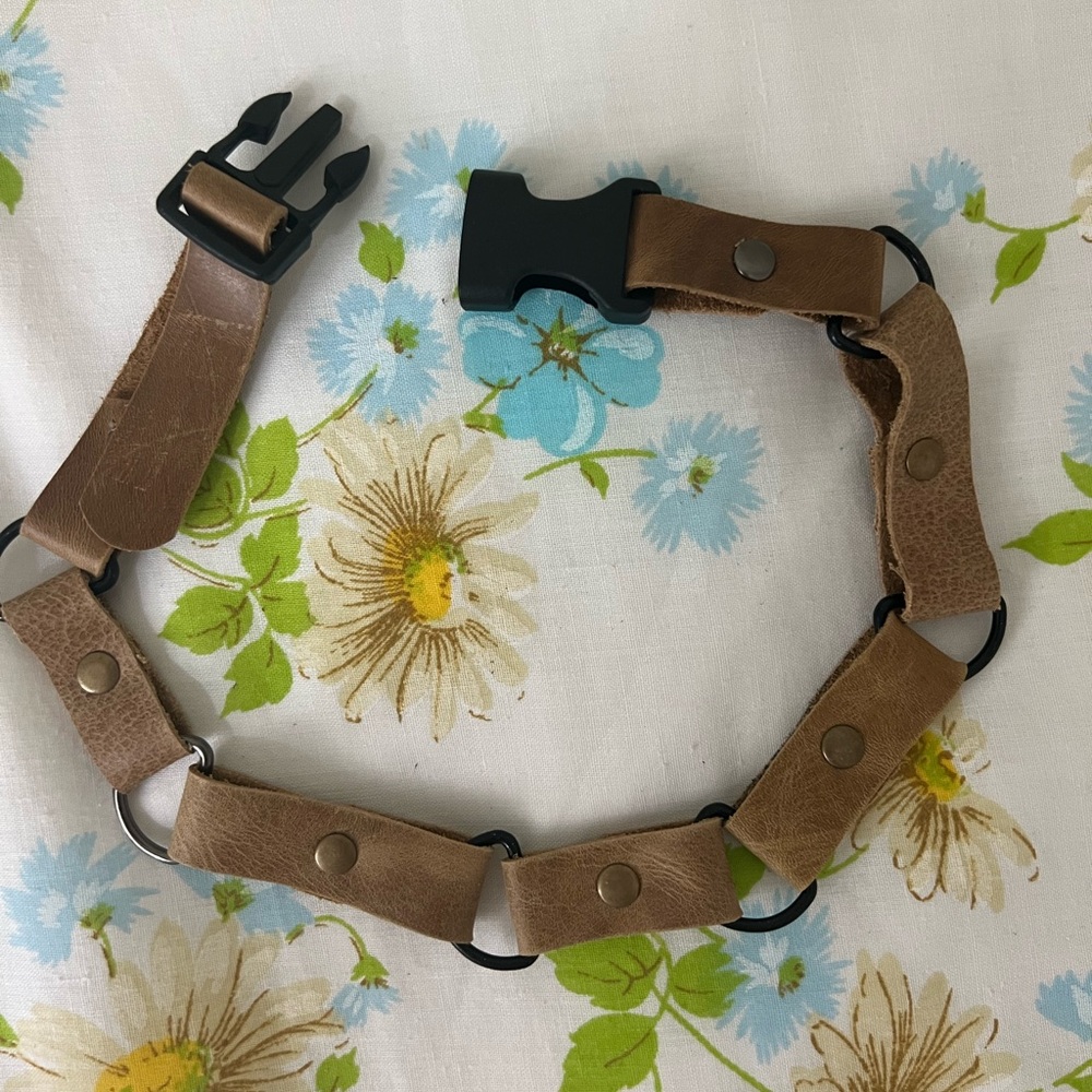 Handmade Genuine Leather Dog Collar 🐶